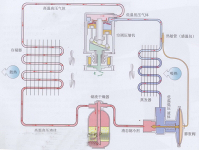 中國冷鏈物流網(wǎng)
